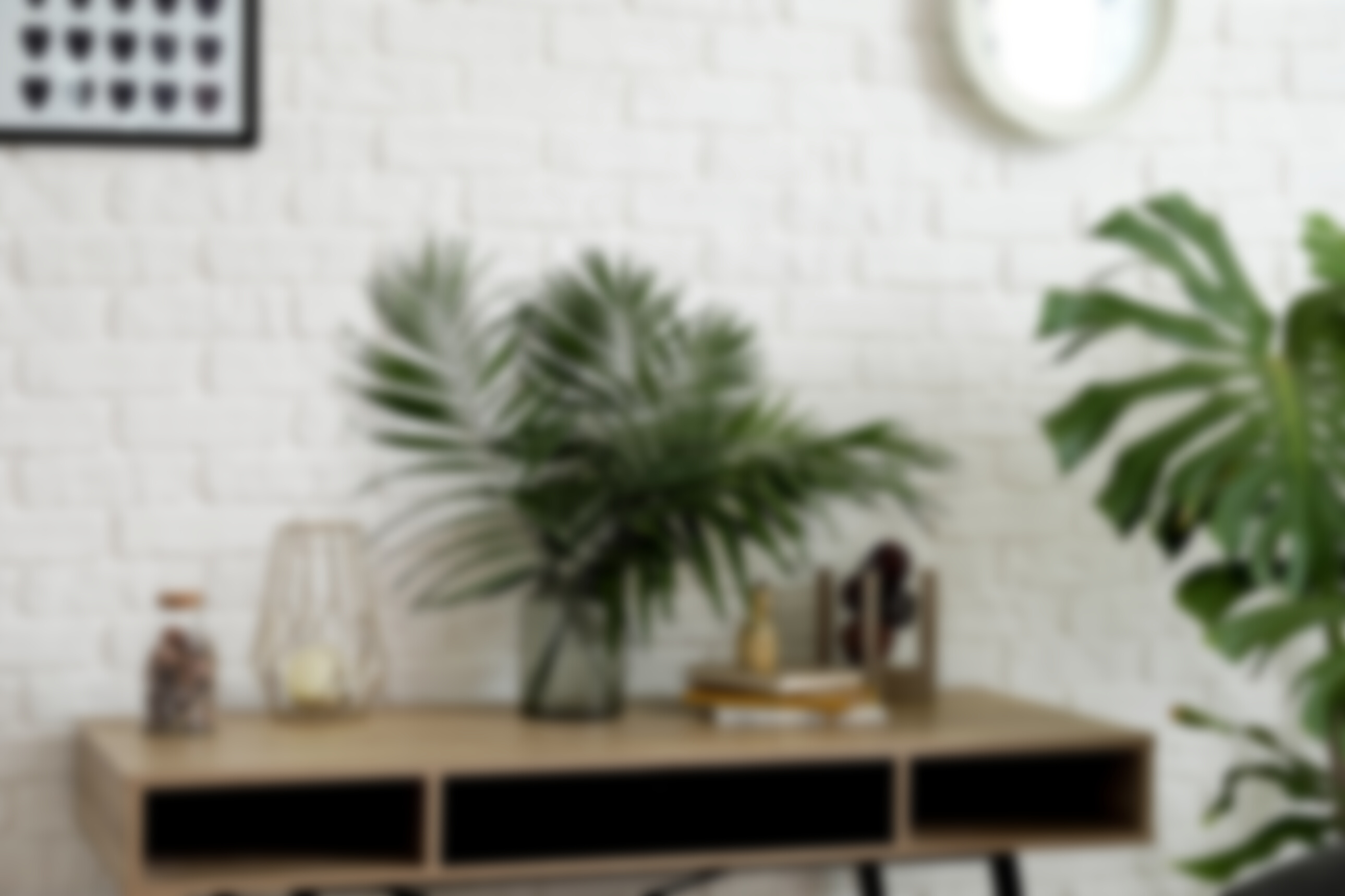Green Tropical Plants in Interior of Room